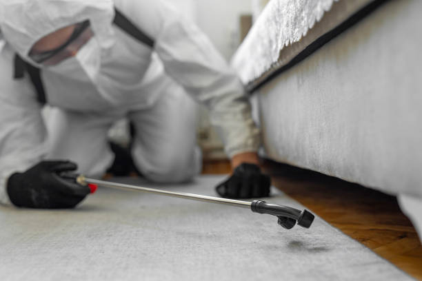 Professional Bed Bug Control technician working in Chouteau, OK