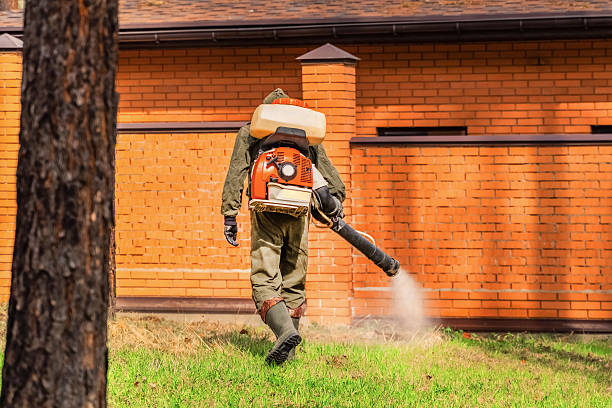 Top rated local Bed Bug Control specialists in Chouteau, OK